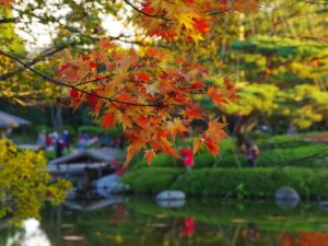 紅葉