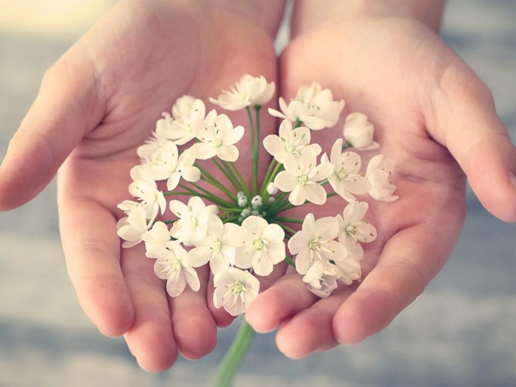 手のひらの上の花